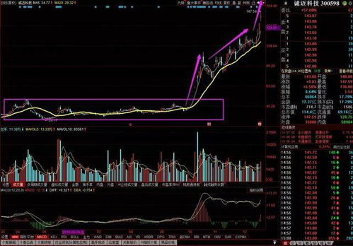 诚迈科技 深度绑定华为生态，软硬件协同发力铸就高成长